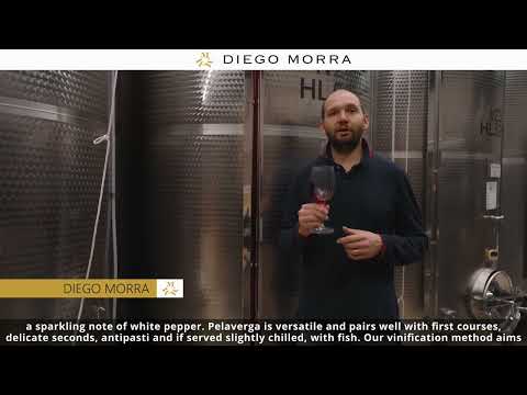 Diego Morra: Verduno Pelaverga DOC 2021