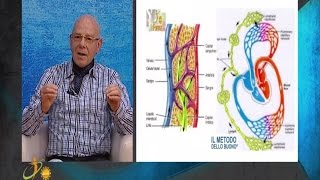 circolazione ecco i consigli del dottor dello buono