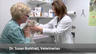 preview picture of video 'Welcome to Animal Medical Center of Ontario - Mansfield, OH'