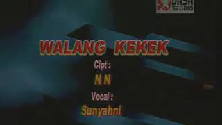 Download lagu Walang Kekek - Sunyahni mp3 Download lagu Walang Kekek - Sunyahni mp3