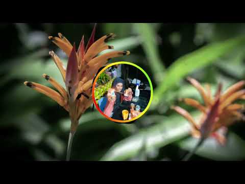 ANISSA FT NASCKOM - Petit coeur (ZOUK REMIX) 2024