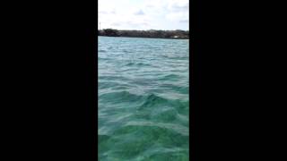 preview picture of video '沖縄。辺野古。大浦湾の海の上。ジュゴンの藻場。'