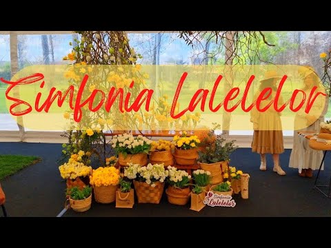 Cum a fost la Simfonia Lalelelor 2023, Pitesti Judetul Arges