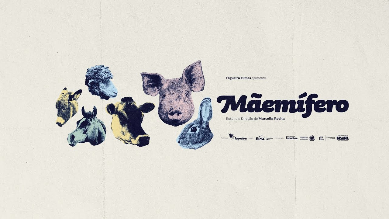Miniature de la vidéo Mãemífero, de Marcella Rocha - Trailer Oficial | Fogueira Filmes du film Mãemífero