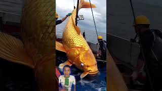 Pez más grande del mundo 🌍 🐠 #youtubeshorts  #funny  #shorts  #viralvideo
