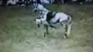 Hang on Karen O&#39;Connor!