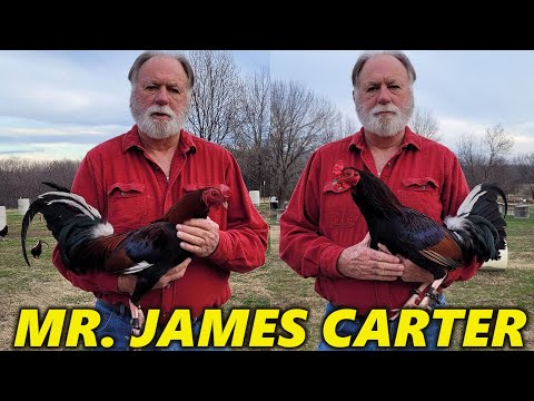 Mr. James Carter Yellow Legged Kelso Penny Hatch Double Tough Farms Oklahoma