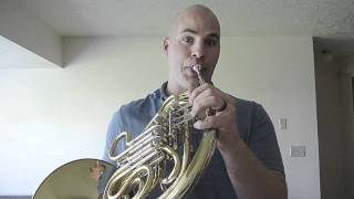 Video thumbnail for Angry Birds played on Horn by Casey Friday