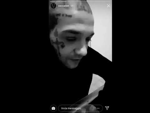 VACCA SFOTTE GALLAGHER E TRAFFIK 🤣🔥❤️