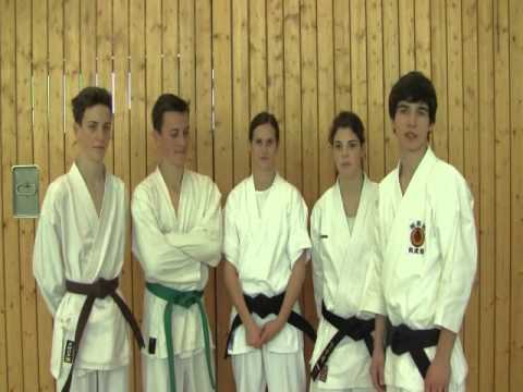 Karate Guldental