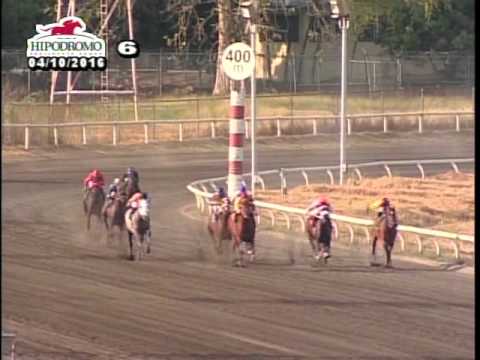 6TA CARRERA DEL DOMINGO 10 DE ABRIL DE 2016 HPR
