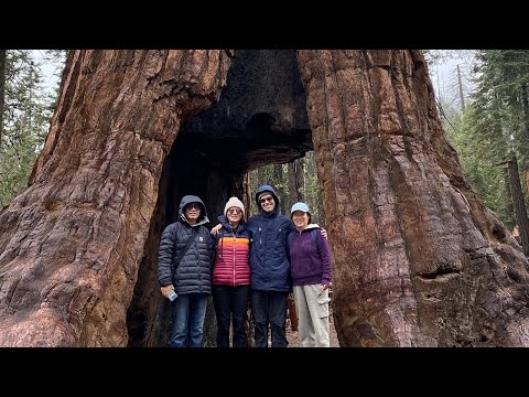 Yosemite National Park in Winter | Sentinel & Cook Meadow Loop | Mirror Lake Trail | Mariposa Grove