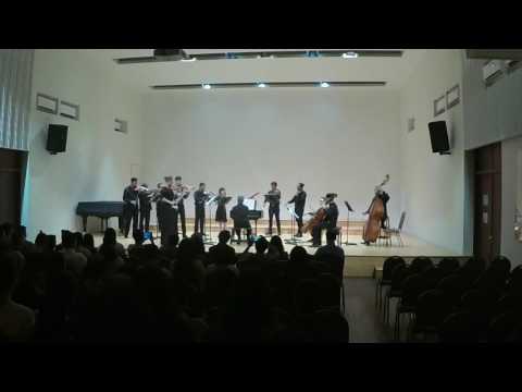 Antonio Vivaldi: Concerto for Strings in C Major, RV 114