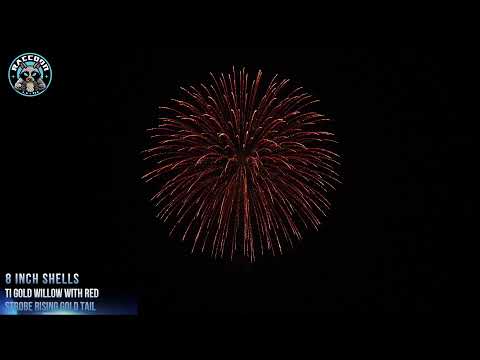 Raccoon Fireworks 1.3G JY8 0359 8 inch Shell Ti Gold Willow with Red Strobe Rising Gold Tail