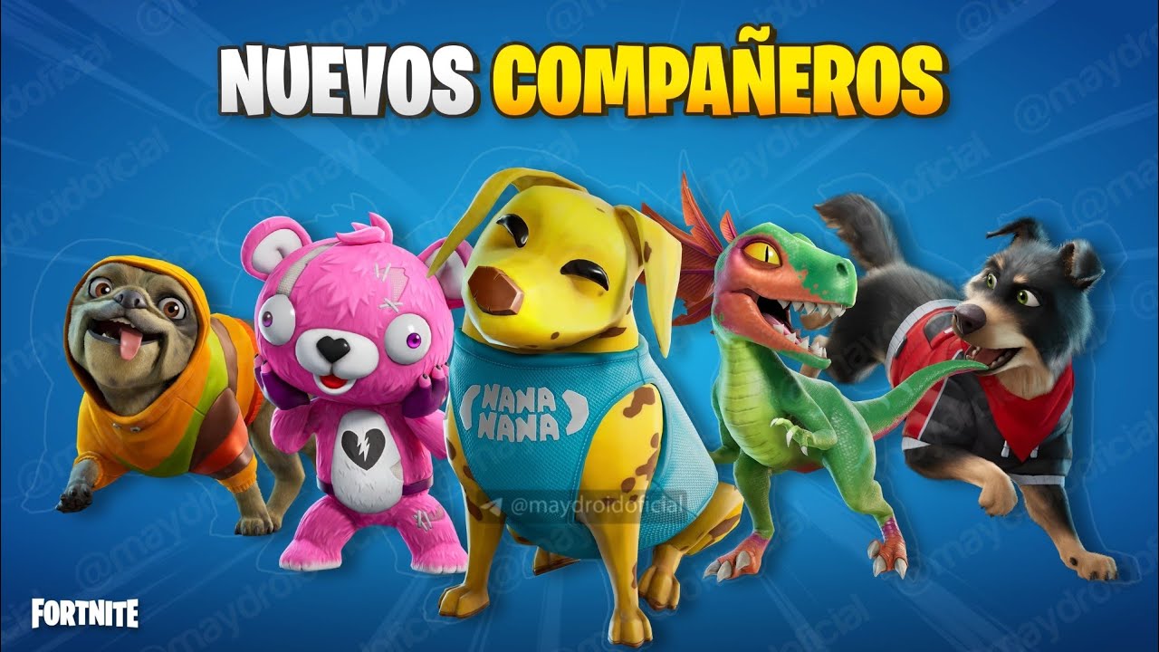¡LLEGARON los NUEVOS COMPAÑEROS a FORTNITE! 🤯 ASÍ Puedes Personalizar a tu Compañero