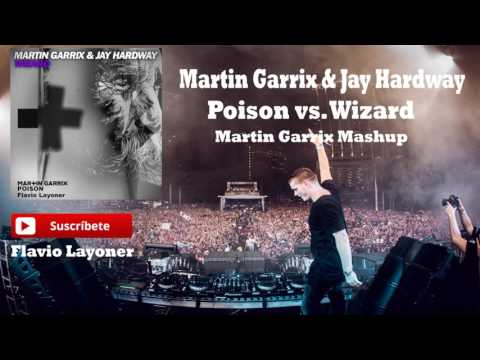 Wizard vs  Poison   Martin Garrix & Jay Hardway UMF Mashup 2017