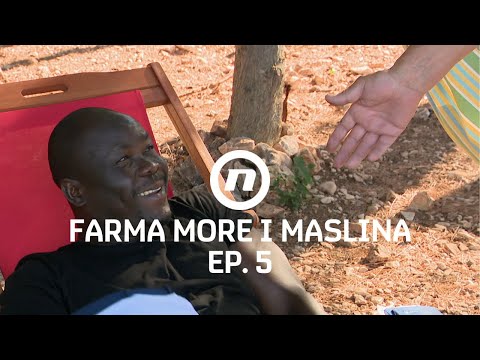 Mentor uhvatio gazdu na spavanju - Epizoda 5 | Farma More i Maslina