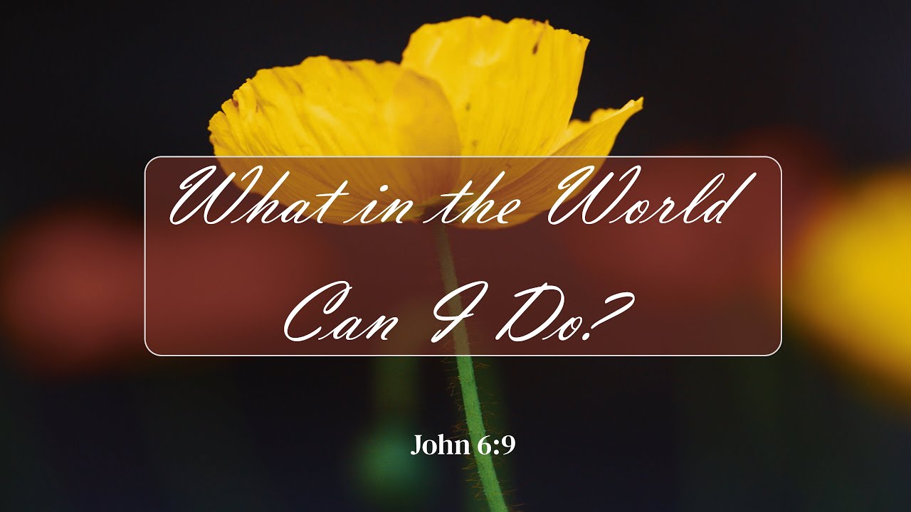 What in the World Can I Do? (John 6:9)