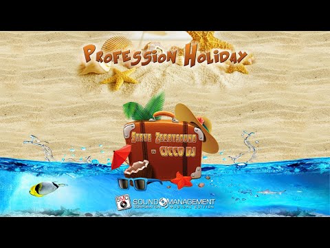 STEVE ZERBYSOUND vs CICCO DJ - Profession Holidays