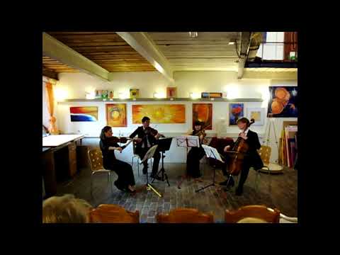 D.U.R Quartett - W.A.Mozart Streichquartett Nr.19  Kv 465 "Dissonanzen"  (1.Satz)