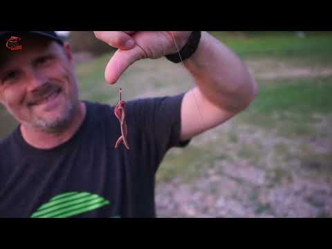 Aalangeln im Herbst? Aal-Uwe geht es mit Pose und Würmern an