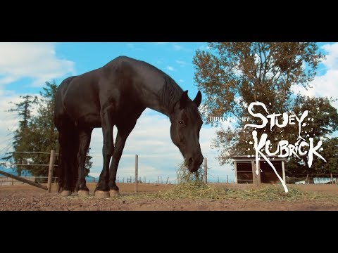 Montana White - ''Simple Man'' (Directed by Stuey Kubrick)