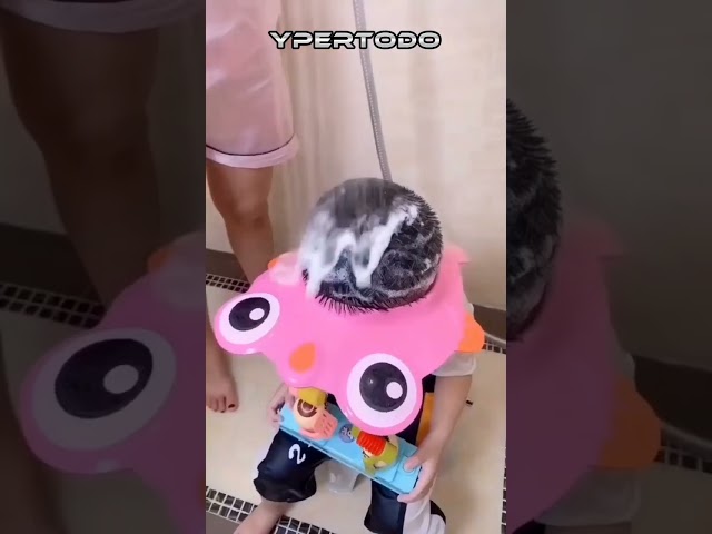 Vídeo relacionado con LEBENGOOD - Albornoz Niña, Albornoces Infantiles Niños, Ducha, baño, piscina, Algodón 100%, Certificado OEKO TEX, Libre de Quimicos, Bata Rizo Capucha, Niño, Bebe, 2 a 8 Años (Amelie 6-8 años)