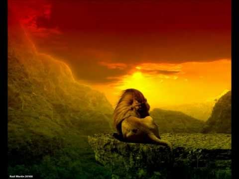 Jah Rich - JahBungleInTheJungle