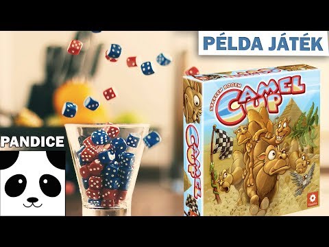 Camel Up (tevefutam) társasjáték bemutató - PanDice
