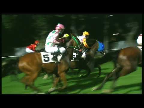 Galoppo 01/08/2020 - 6ª corsa