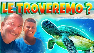 MARSA Alam 4 SPIAGGE MIGLIORI, in EGITTO 🏖️