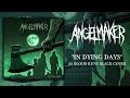 AngelMaker - In Dying Days (As Blood Runs Black Cover)