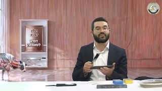 🪵 מסכת חולין בהמחשה חיה! דף י"ז ע"ב: דמיא לסאסאה - פרק 8 🔍 | הרב שמעון אופן בהמחשה ויזואלית 📸