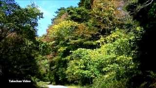 Only Yesterday[HQ Audio] - The Carpenters