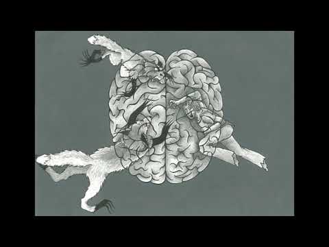 Demon Fox - Άγγελος