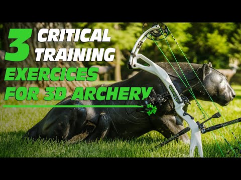 3 Critical Training Exercises for 3D Archery