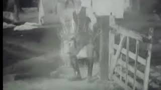 A Race for a Bride (1910)