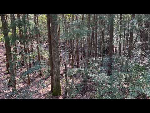 Gallery Six - Ambient Mix Series vol.3