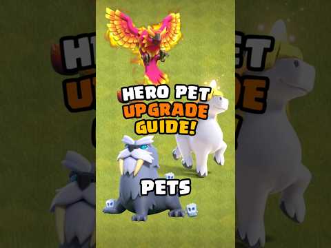 Hero Pet Upgrade Guide For ALL Town Halls! Clash of Clans