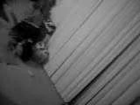 binky and slinky show