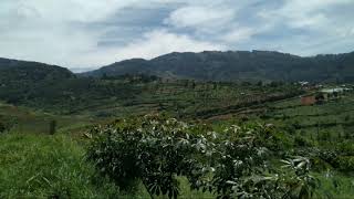 Download lagu Story WA Pemandangan Alam Yang Indah mp3