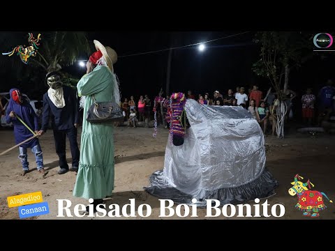 °°° REISADO BOI BONITO °°°