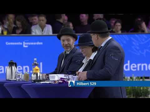 HK 2026 – Rubriek 5 – Keuring van de ingeschreven stamboekhengsten goedgekeurd vanaf dekseizoen 2023