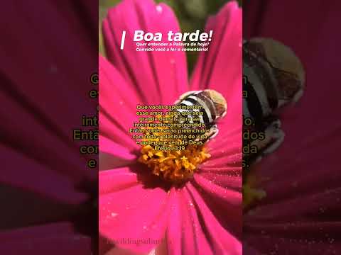 Amor que excede todo entendimento | Efésios 3:19 | #Deus #Jesus #EspiritoSanto #Shorts #Amor