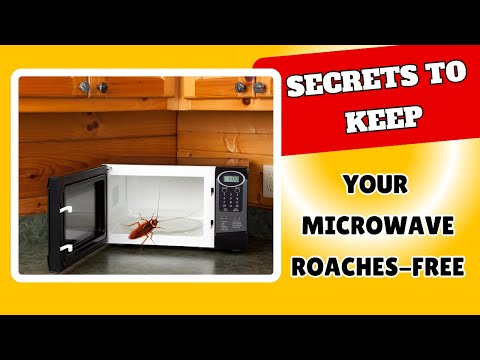How to Get Rid of Roaches from Your Microwave