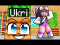 Ich Habe Mich Als BLOCK Versteckt Im Minecraft Murder Mystery