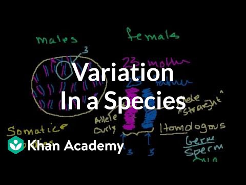 How Variation in a Species Can Be Introduced