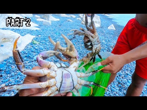 e87 Part 2 | Basic Trap para Makarami Ng kuray | Big Land Crab | Catch N Cook