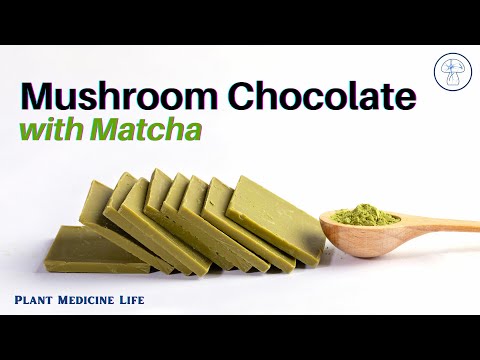 How To Make Mushroom Chocolate
