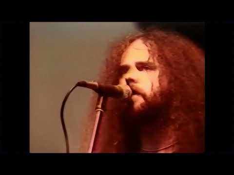 Hold On Loosely by 38 Special  (live)